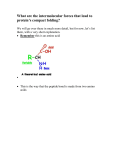 What are the intermolecular forces that lead to this compact folding