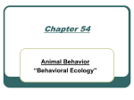 Chapter 54 Animal Behavior