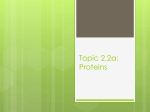 Topic 2.2: Proteins