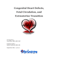 Congenital Heart Defects, Fetal Circulation