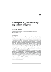 (cobalamin)-dependent enzymes