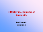 Effector mechanisms of immunity