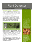 Plant Defenses - Cornell blogs