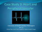 Case Study 3: Heart and Peripheral Vascular