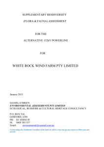 white rock wind farm pty limited