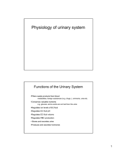 Physiology of urinary system