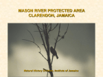 Mason River Protected Area Clarendon, Jamaica