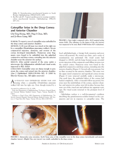 Caterpillar Setae in the Deep Cornea and Anterior Chamber