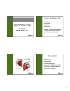 1 What is the Rotator Cuff Bony Anatomy