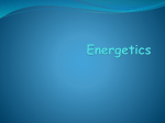 Energetics - WordPress.com