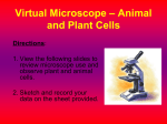 Virtual Microscope – Animal and Plant Cells
