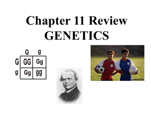 Genetics review