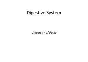 DIGESTIVE SYSTEM 1