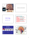 brain presentation - Sinoe Medical Association