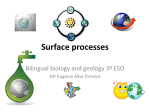 Surface processes