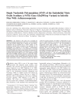 Single Nucleotide Polymorphism (SNP) of the Endothelial Nitric