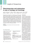 Planctomycetes and eukaryotes: A case of analogy not homology