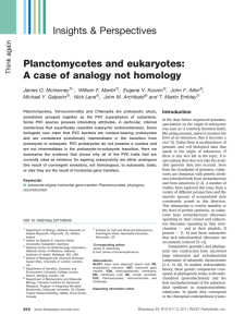 Planctomycetes and eukaryotes: A case of analogy not homology