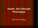 Death: the Ultimate Genotype