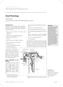 Renal Physiology - e-safe