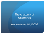 The Anatomy of Obstetrics - kusm