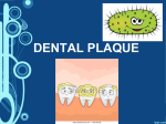 Dental Plaque 1