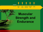 Muscular Strength and Endurance