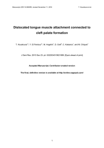 Dislocated tongue muscle attachment connected to cleft