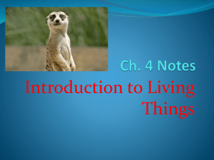 Ch. 4 Notes
