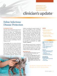 clinician`s update - Clinician`s Brief