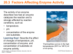 20.3 Factors Affecting Enzyme Activity
