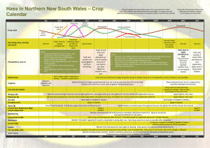 Hass in Northern New South Wales – Crop Calendar