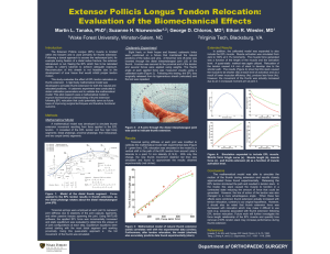 Extensor Pollicis Longus Tendon Relocation: Evaluation of