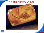 The History of Life