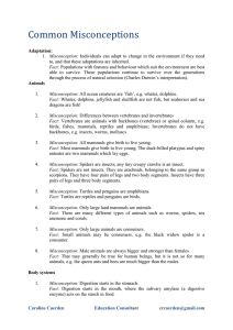 Common Misconceptions Adaptation: Misconception: Individuals