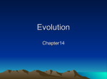 Chapter 14 Principles of Evolution