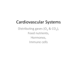 Cardiovascular Systems - Seattle Central College