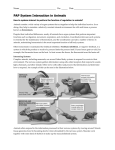 PAP System Interaction Reading