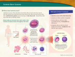 Learning About Leukemia