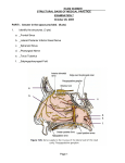 EXAM NUMBER_________________ STRUCTURAL BASIS OF