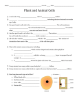 Plant and Animal Cells Notes