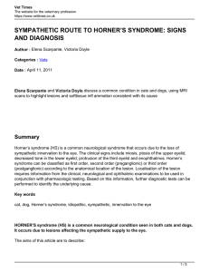 sympathetic route to horner`s syndrome: signs and