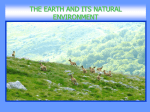 the earth and the natural places