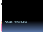 Muscle Physiology - Brookville Local Schools