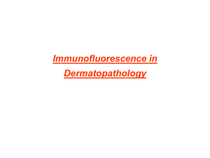 Immunoflourescence in dermatopathology
