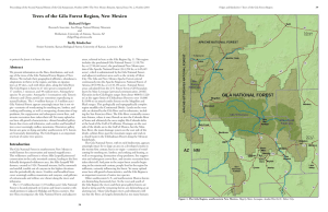 Trees of the Gila Forest Region, New Mexico