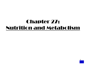 CARBOHYDRATES: METABOLISM (cont.)