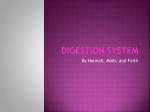 Digestion System