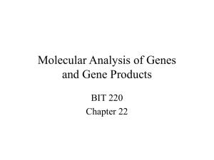 Molecular Analysis of Genes
