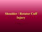 Shoulder/Rotator Cuff Injury